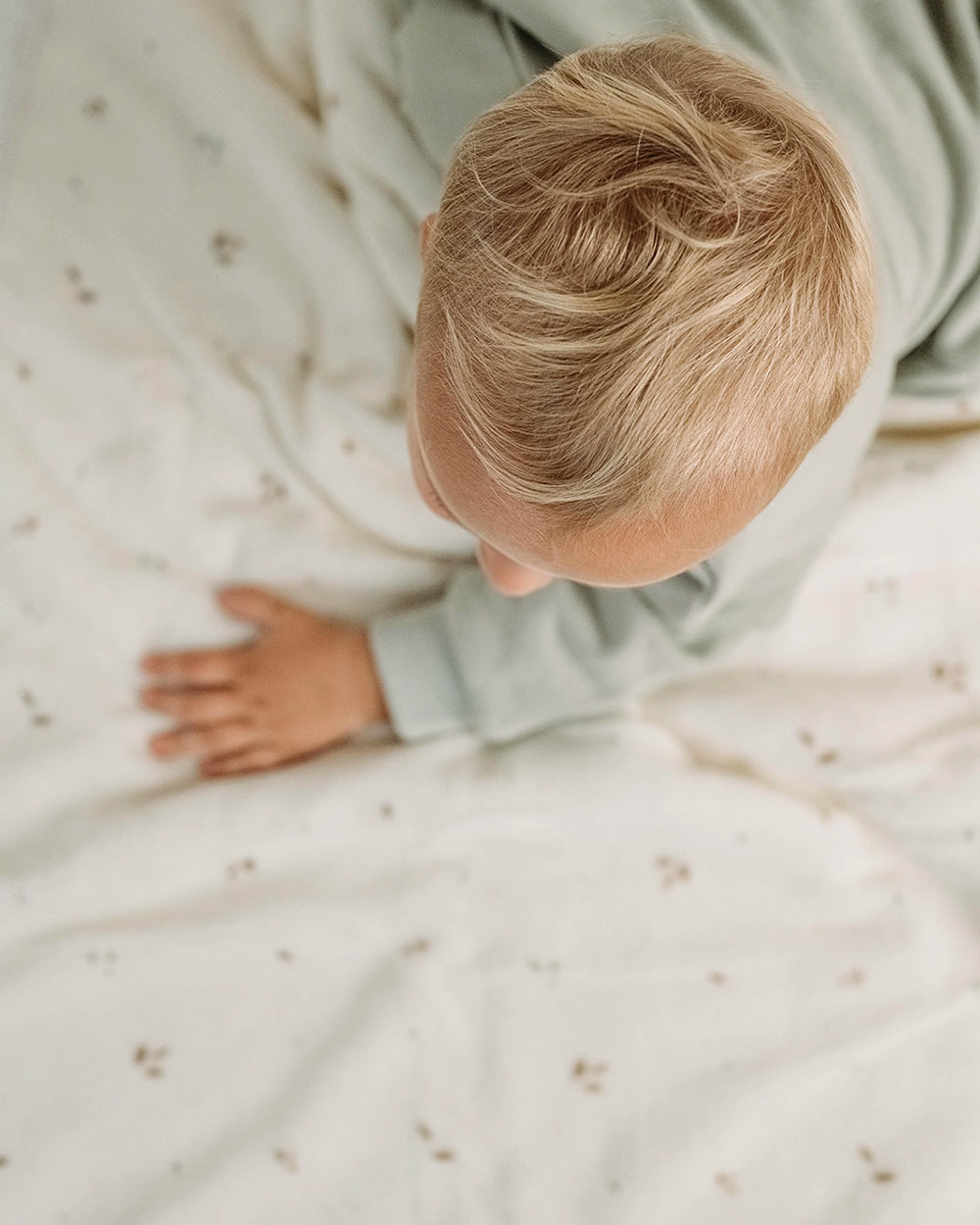 שמיכה מבד פרווה Leaves | אופוויט